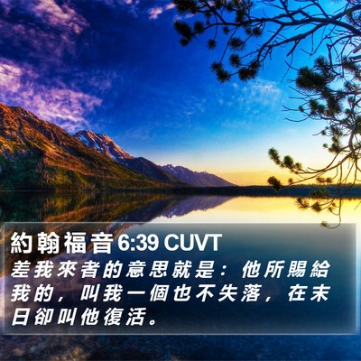 約 翰 福 音 6:39 CUVT Bible Verse Image