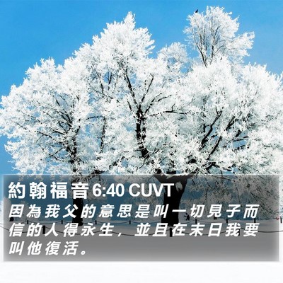 約 翰 福 音 6:40 CUVT Bible Verse Image