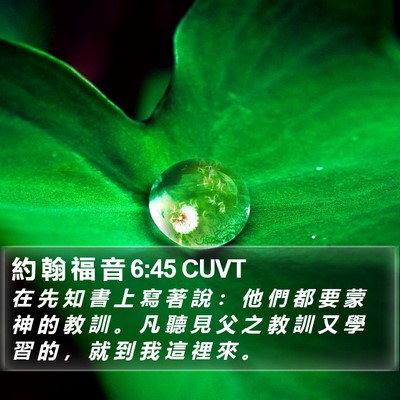 約 翰 福 音 6:45 CUVT Bible Verse Image