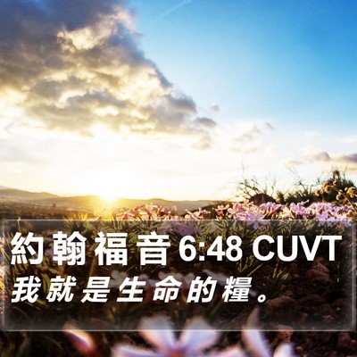 約 翰 福 音 6:48 CUVT Bible Verse Image