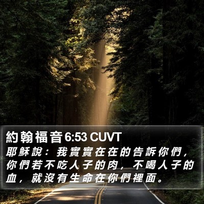 約 翰 福 音 6:53 CUVT Bible Verse Image