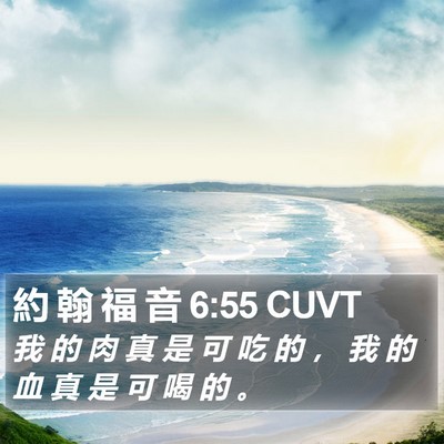 約 翰 福 音 6:55 CUVT Bible Verse Image