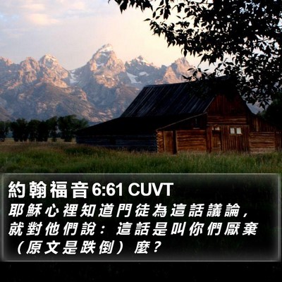 約 翰 福 音 6:61 CUVT Bible Verse Image