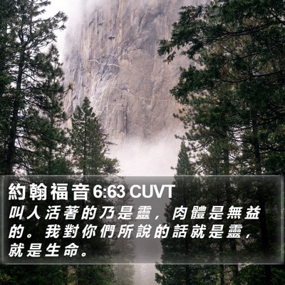 約 翰 福 音 6:63 CUVT Bible Verse Image
