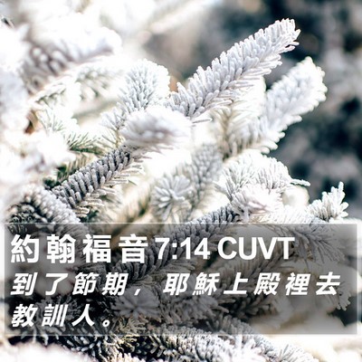 約 翰 福 音 7:14 CUVT Bible Verse Image