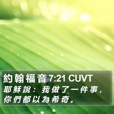 約 翰 福 音 7:21 CUVT Bible Verse Image