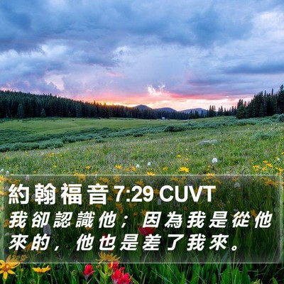 約 翰 福 音 7:29 CUVT Bible Verse Image
