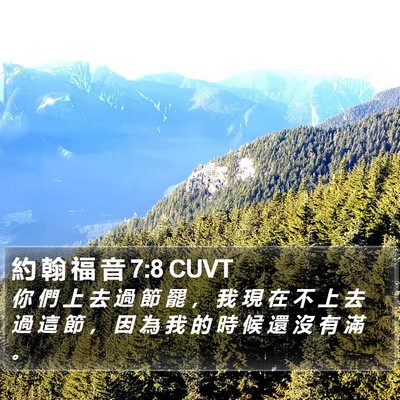 約 翰 福 音 7:8 CUVT Bible Verse Image