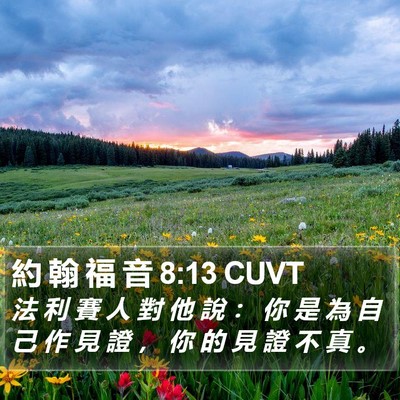 約 翰 福 音 8:13 CUVT Bible Verse Image