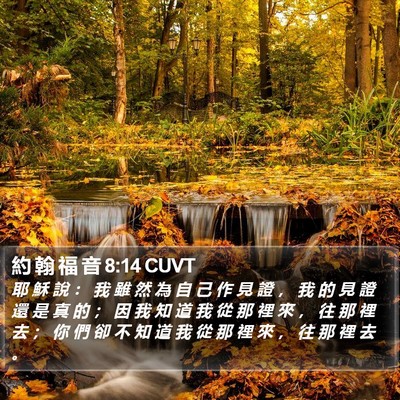 約 翰 福 音 8:14 CUVT Bible Verse Image