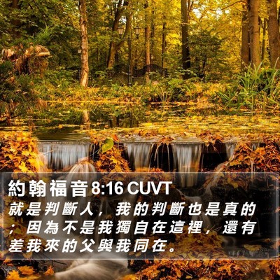 約 翰 福 音 8:16 CUVT Bible Verse Image