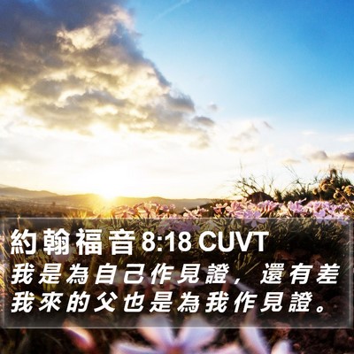 約 翰 福 音 8:18 CUVT Bible Verse Image