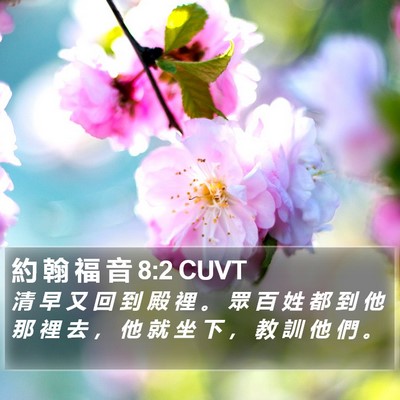 約 翰 福 音 8:2 CUVT Bible Verse Image