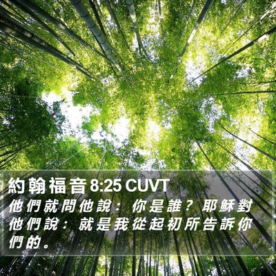 約 翰 福 音 8:25 CUVT Bible Verse Image