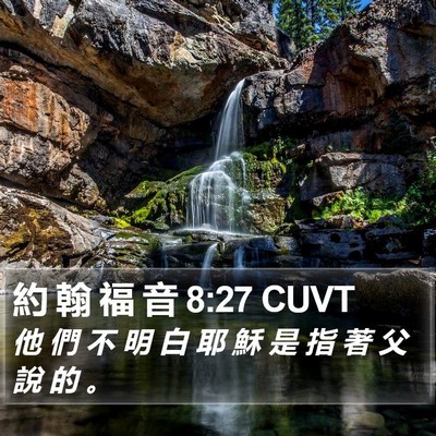 約 翰 福 音 8:27 CUVT Bible Verse Image