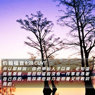 約 翰 福 音 8:28 CUVT Bible Verse Image