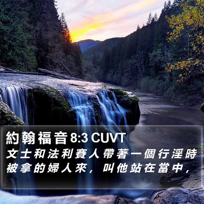 約 翰 福 音 8:3 CUVT Bible Verse Image