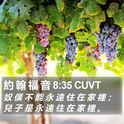 約 翰 福 音 8:35 CUVT Bible Verse Image
