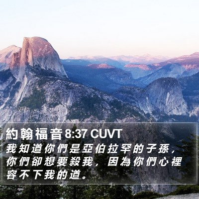 約 翰 福 音 8:37 CUVT Bible Verse Image