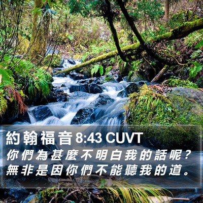 約 翰 福 音 8:43 CUVT Bible Verse Image