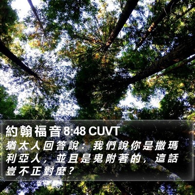 約 翰 福 音 8:48 CUVT Bible Verse Image