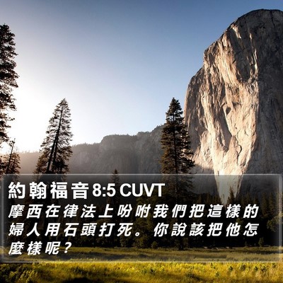 約 翰 福 音 8:5 CUVT Bible Verse Image
