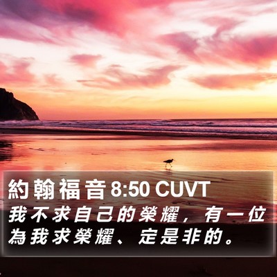 約 翰 福 音 8:50 CUVT Bible Verse Image