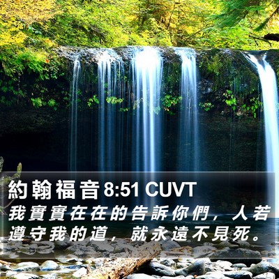 約 翰 福 音 8:51 CUVT Bible Verse Image
