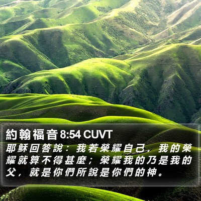 約 翰 福 音 8:54 CUVT Bible Verse Image