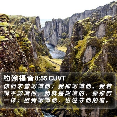 約 翰 福 音 8:55 CUVT Bible Verse Image