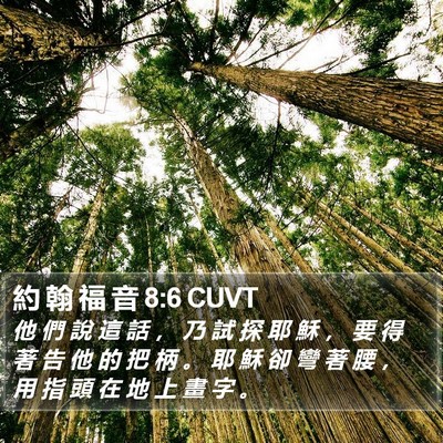 約 翰 福 音 8:6 CUVT Bible Verse Image