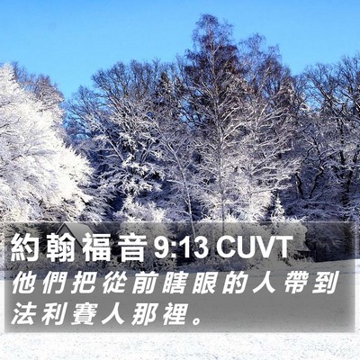 約 翰 福 音 9:13 CUVT Bible Verse Image