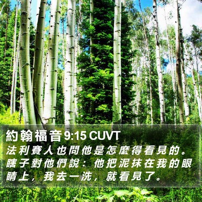約 翰 福 音 9:15 CUVT Bible Verse Image