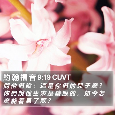 約 翰 福 音 9:19 CUVT Bible Verse Image