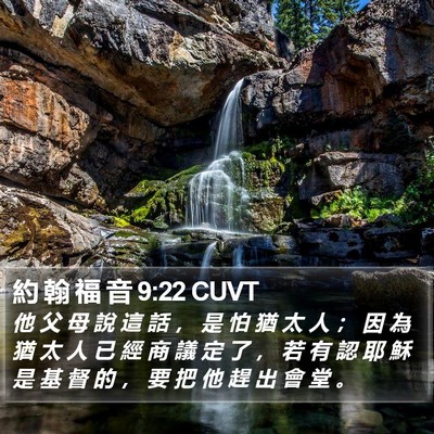 約 翰 福 音 9:22 CUVT Bible Verse Image
