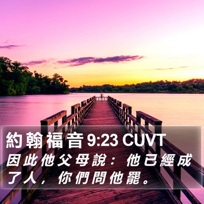 約 翰 福 音 9:23 CUVT Bible Verse Image
