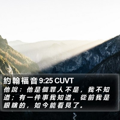 約 翰 福 音 9:25 CUVT Bible Verse Image