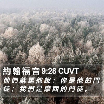 約 翰 福 音 9:28 CUVT Bible Verse Image