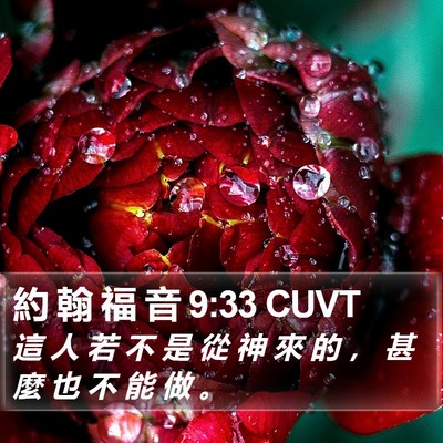 約 翰 福 音 9:33 CUVT Bible Verse Image