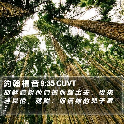 約 翰 福 音 9:35 CUVT Bible Verse Image