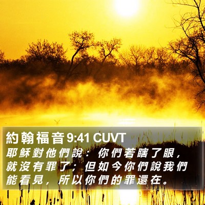 約 翰 福 音 9:41 CUVT Bible Verse Image