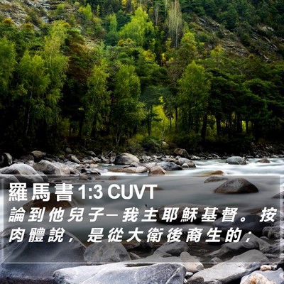 羅 馬 書 1:3 CUVT Bible Verse Image