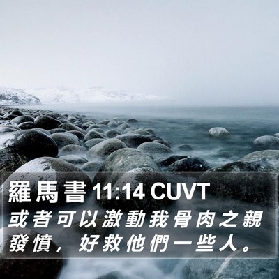 羅 馬 書 11:14 CUVT Bible Verse Image