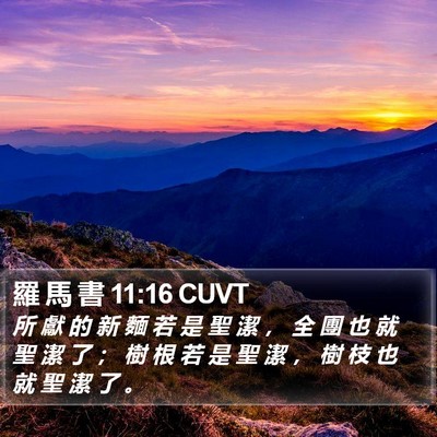 羅 馬 書 11:16 CUVT Bible Verse Image