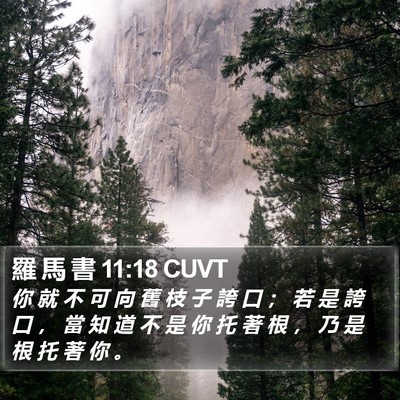 羅 馬 書 11:18 CUVT Bible Verse Image