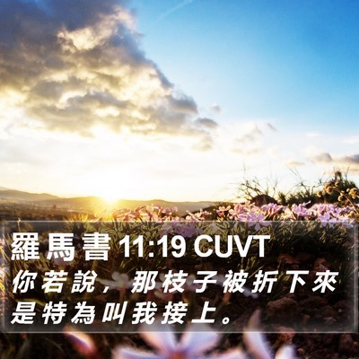 羅 馬 書 11:19 CUVT Bible Verse Image