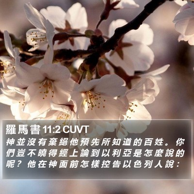 羅 馬 書 11:2 CUVT Bible Verse Image