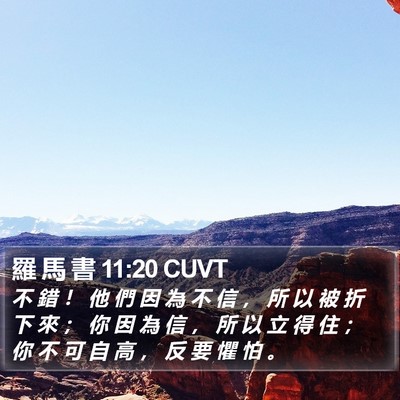 羅 馬 書 11:20 CUVT Bible Verse Image