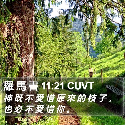 羅 馬 書 11:21 CUVT Bible Verse Image