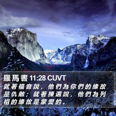 羅 馬 書 11:28 CUVT Bible Verse Image
